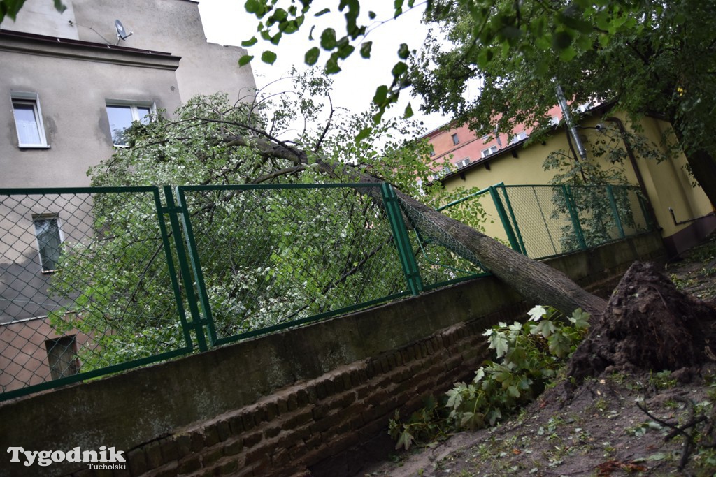 Krajobraz po nawałnicy