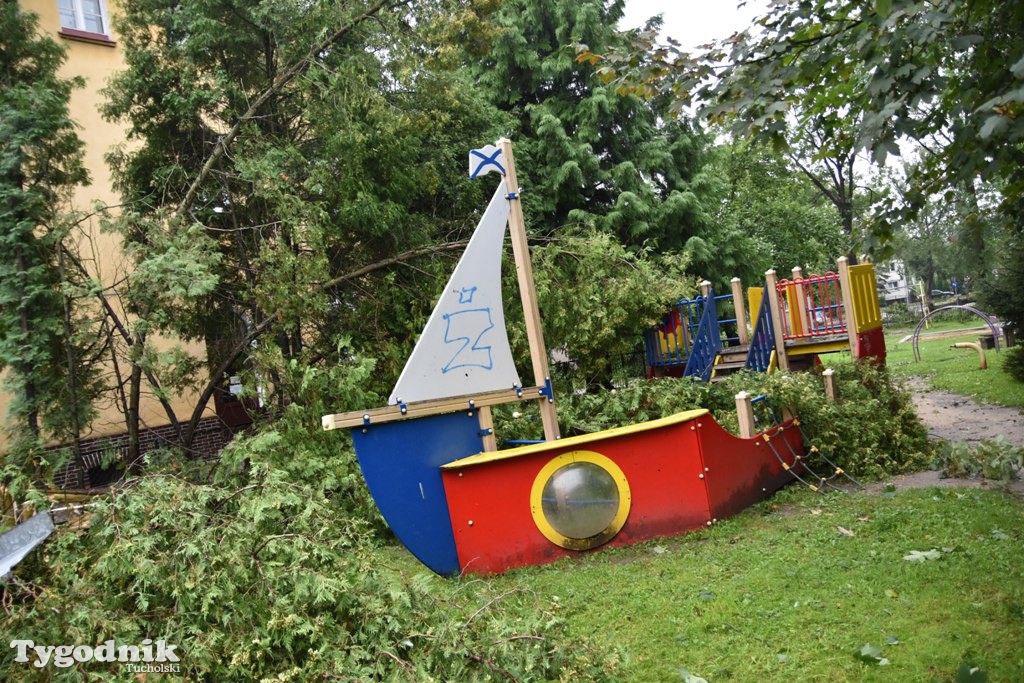 Krajobraz po nawałnicy