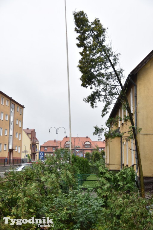 Krajobraz po nawałnicy