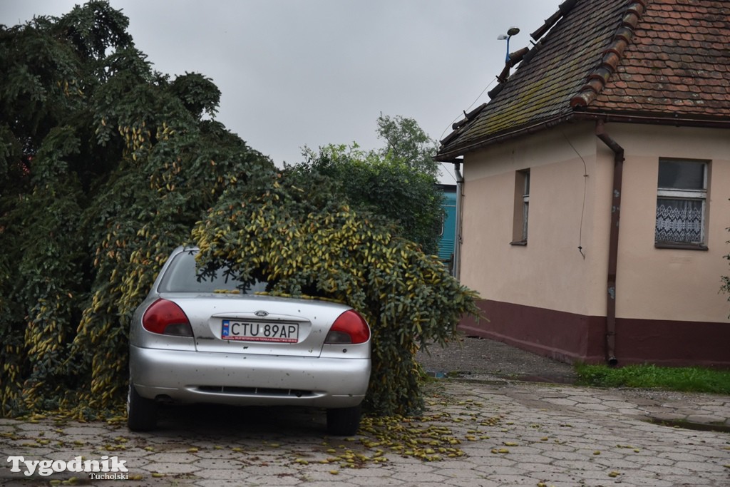 Krajobraz po nawałnicy