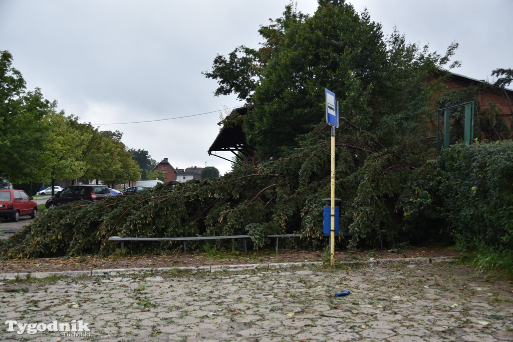 Krajobraz po nawałnicy