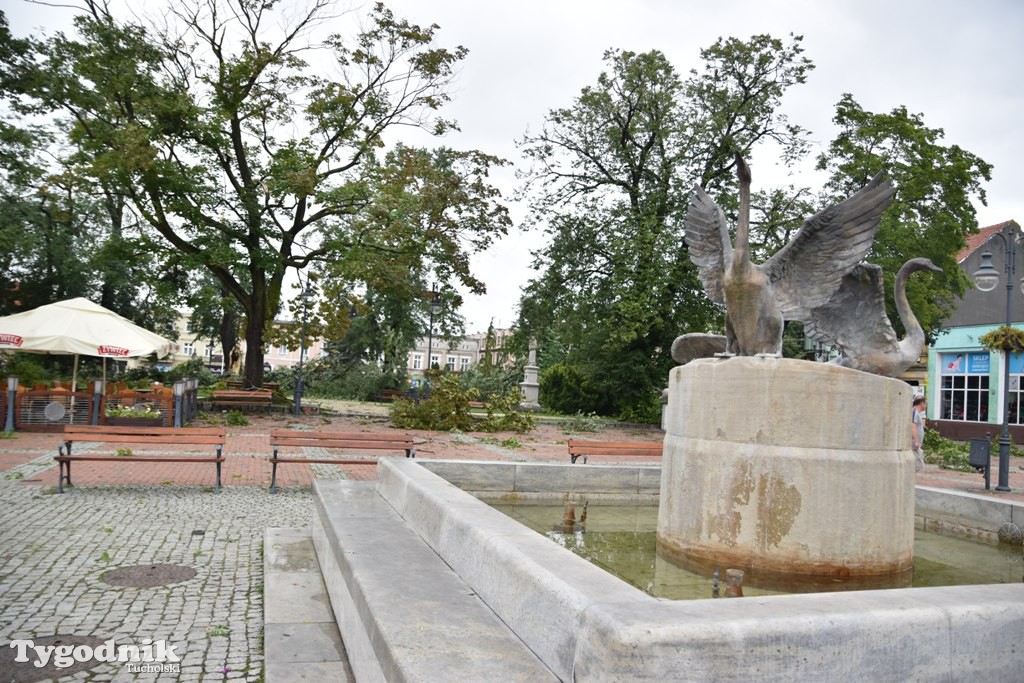 Krajobraz po nawałnicy