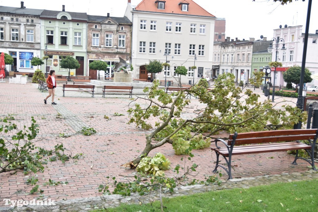 Krajobraz po nawałnicy