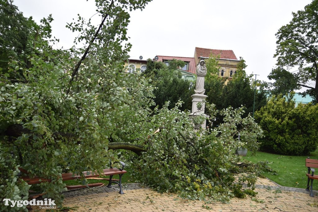 Krajobraz po nawałnicy