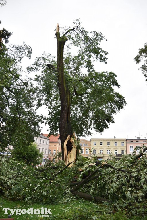 Krajobraz po nawałnicy