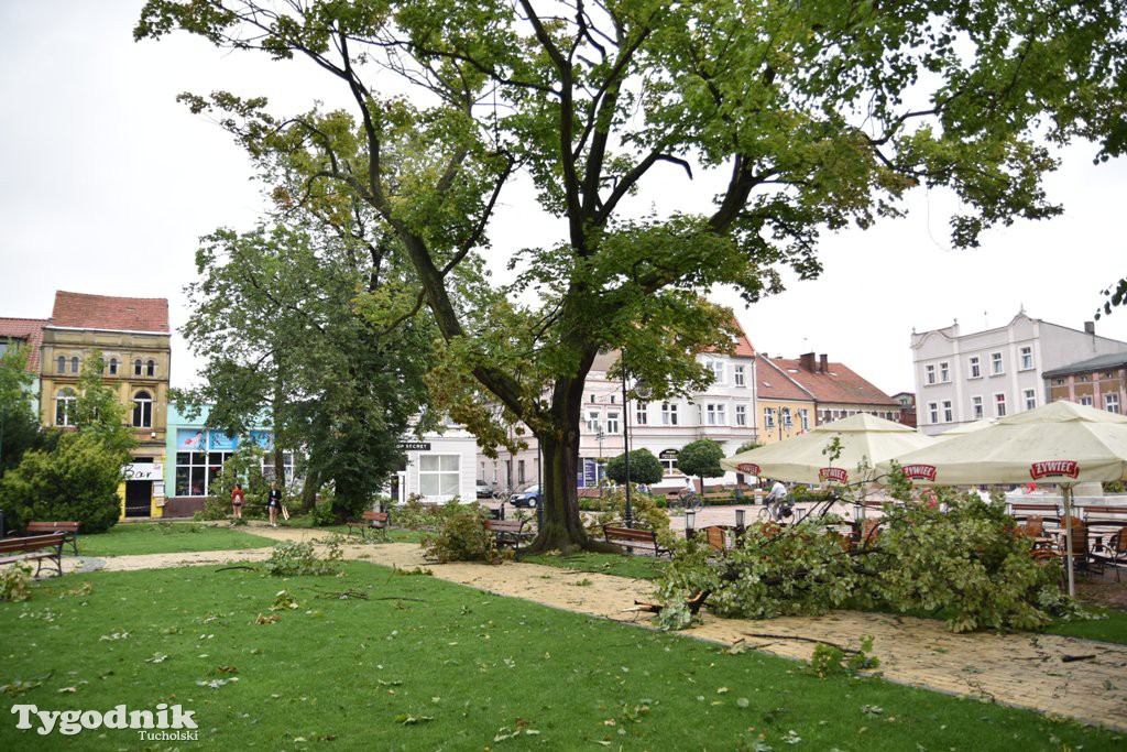 Krajobraz po nawałnicy