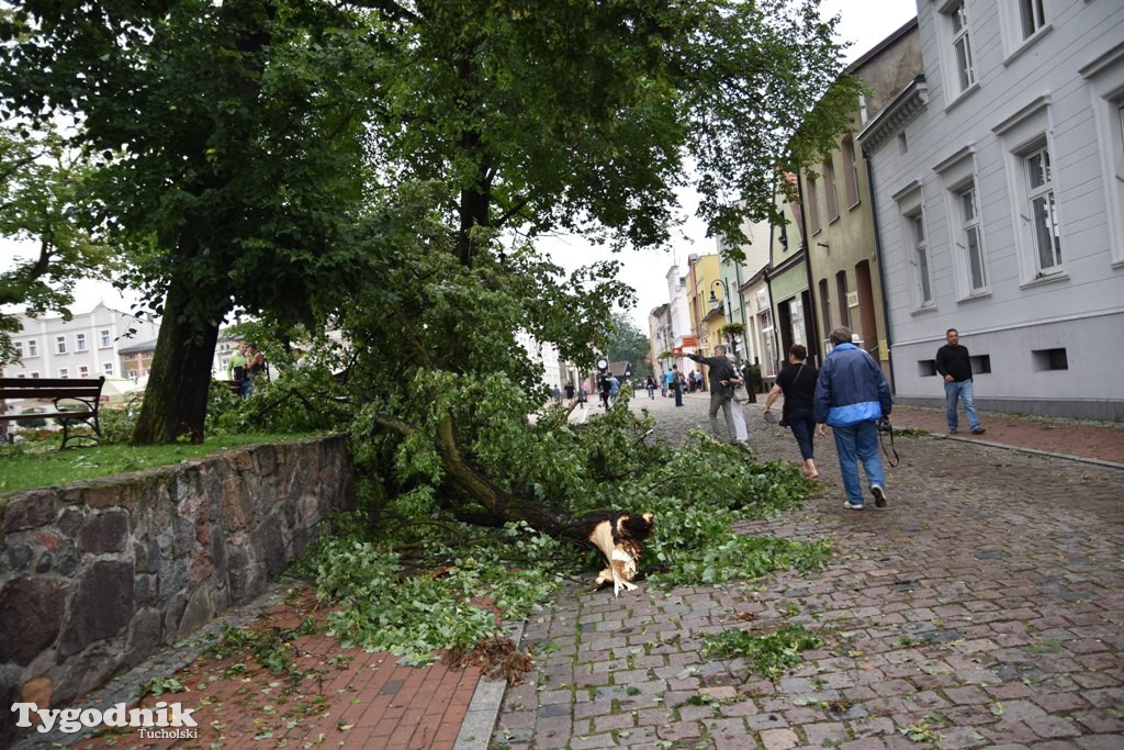 Krajobraz po nawałnicy