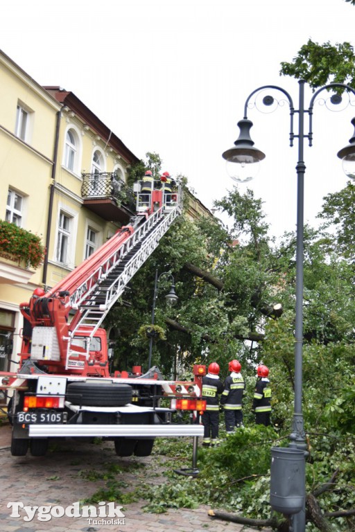 Krajobraz po nawałnicy