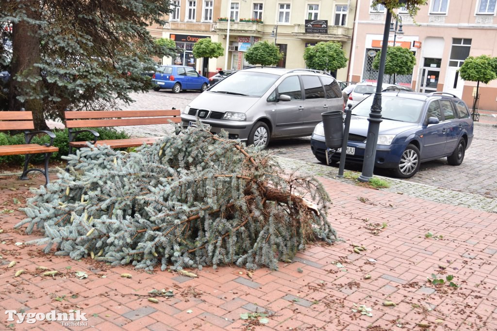 Krajobraz po nawałnicy