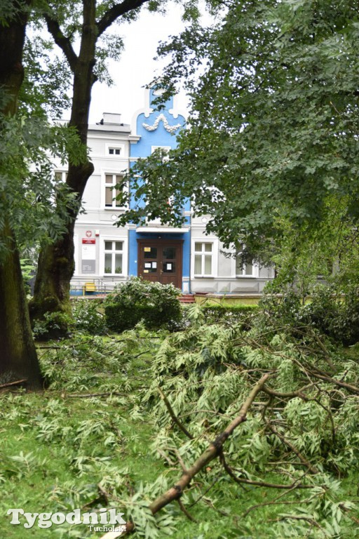 Krajobraz po nawałnicy