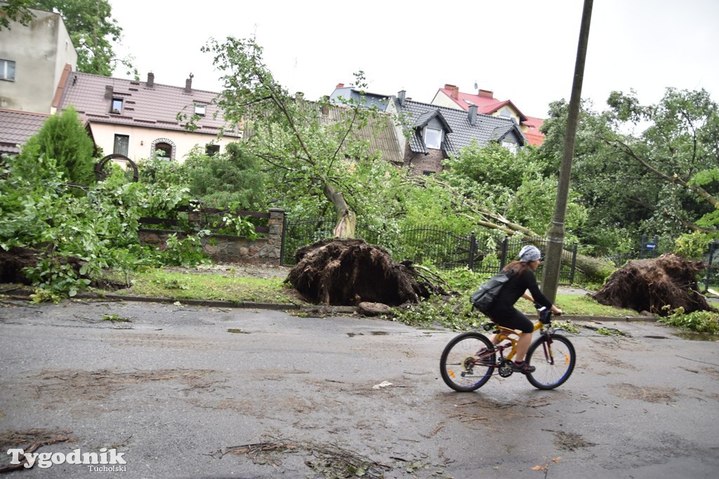 Krajobraz po nawałnicy