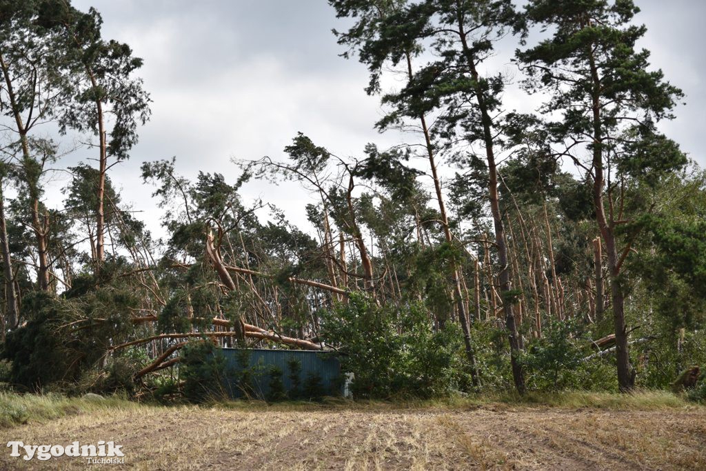 Krajobraz po nawałnicy