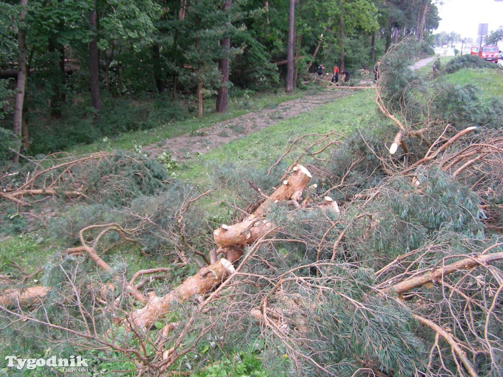 Krajobraz po nawałnicy - część II