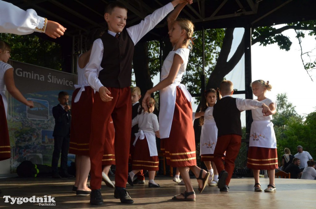 Dożynki gminne w Linówku