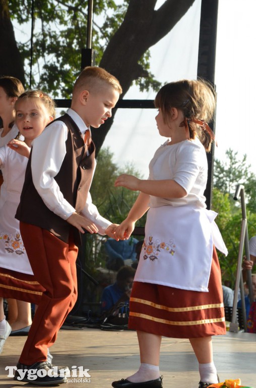 Dożynki gminne w Linówku