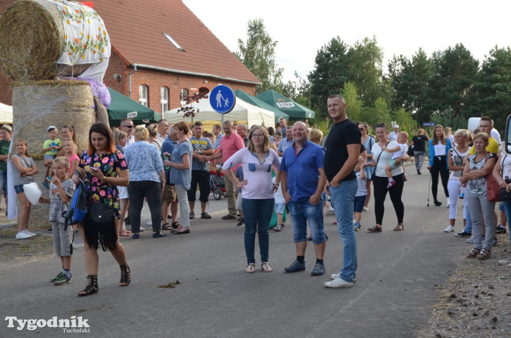 Dożynki gminne w Linówku
