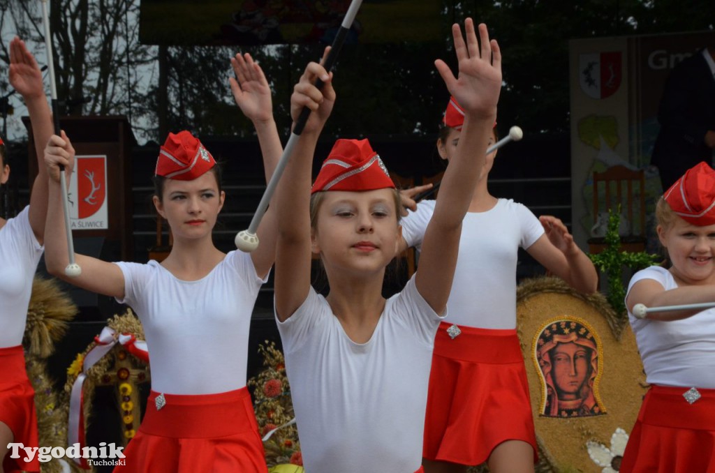 Dożynki gminne w Linówku