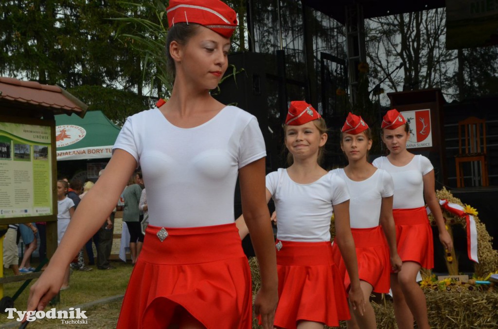 Dożynki gminne w Linówku