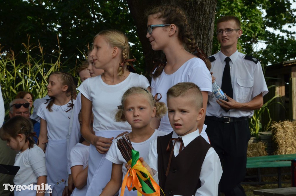 Dożynki gminne w Linówku