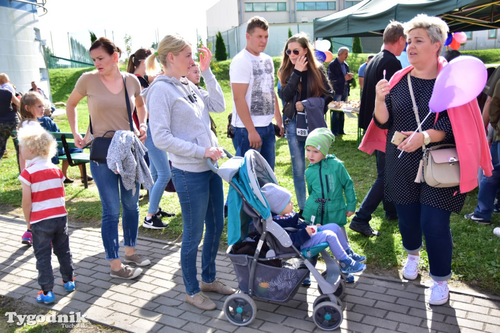 Zaczarowany świat bajek w Gostycynie