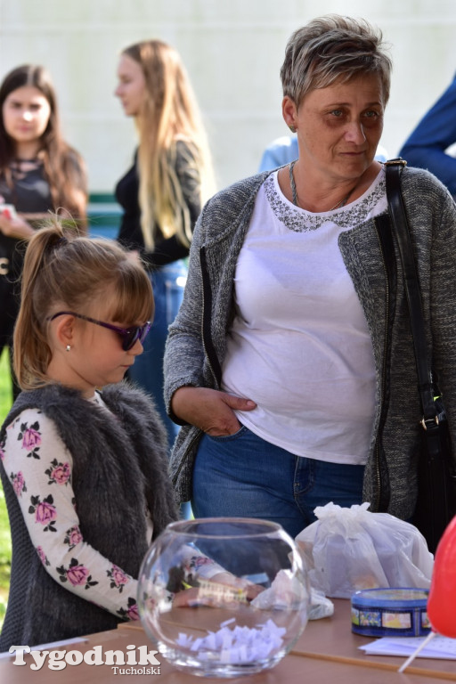 Zaczarowany świat bajek w Gostycynie