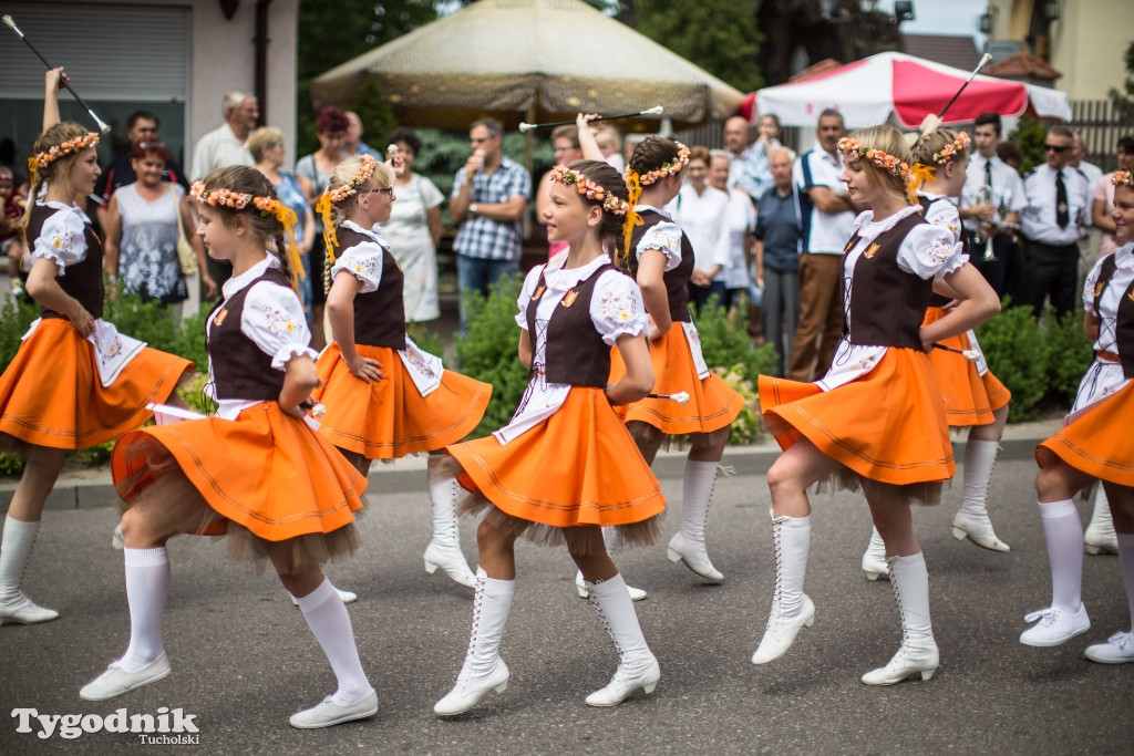 Festiwal orkiestr dętych w Śliwicach