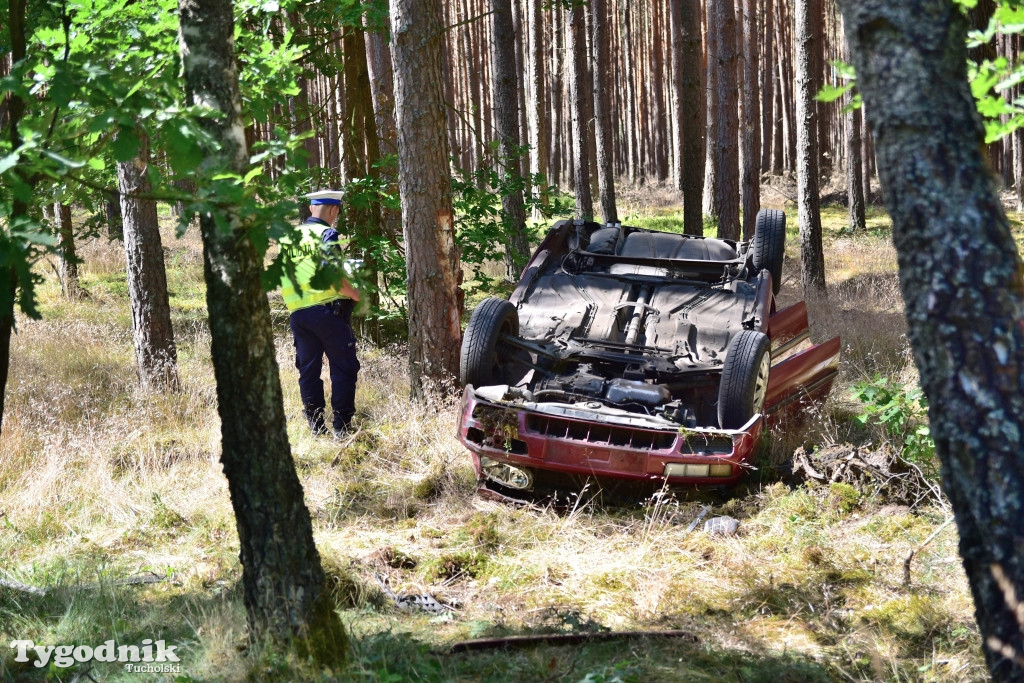 Dachowanie na trasie Śliwiczki-Łąski Piec