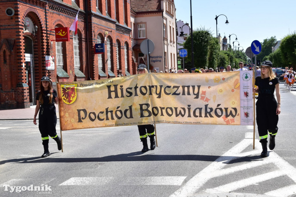 VII Historyczny Pochód Borowiaków