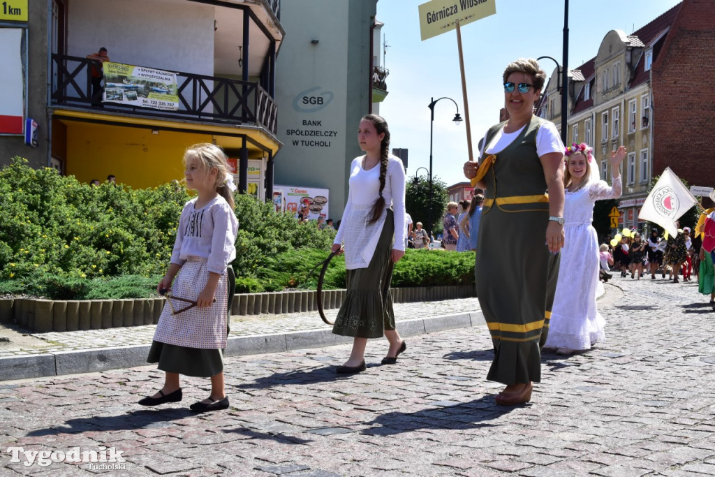 VII Historyczny Pochód Borowiaków