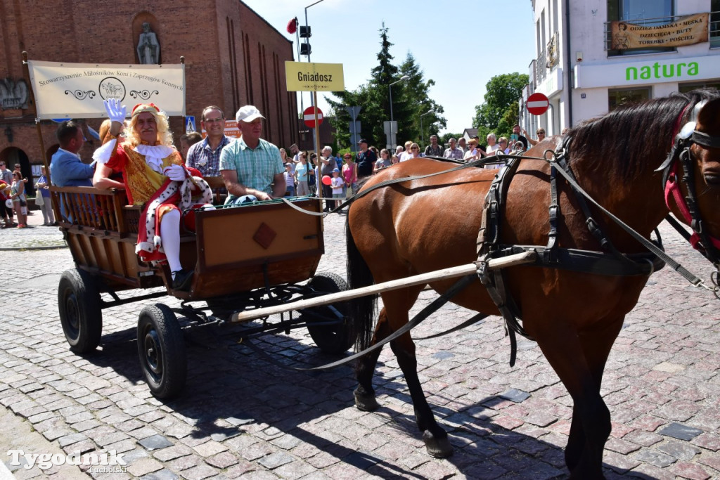 VII Historyczny Pochód Borowiaków