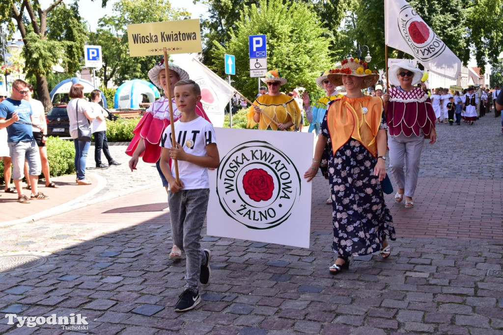 VII Historyczny Pochód Borowiaków