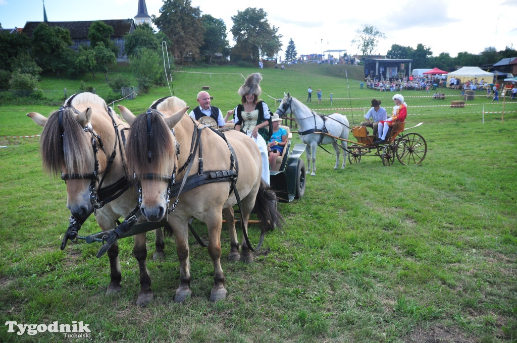 Śliwice: X Pikinik Koniarzy