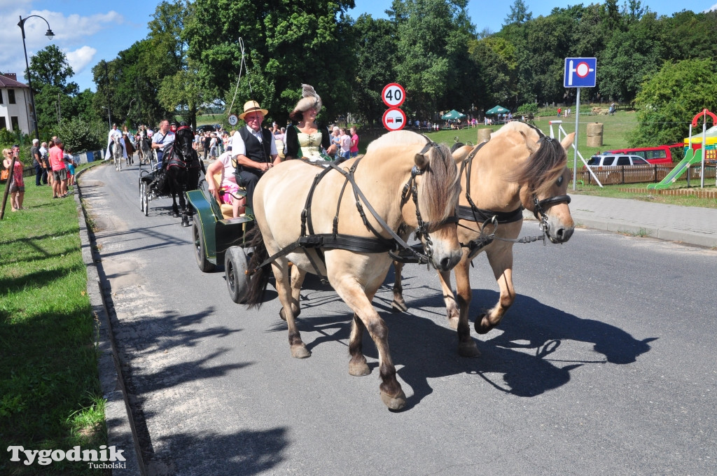 Śliwice: X Pikinik Koniarzy