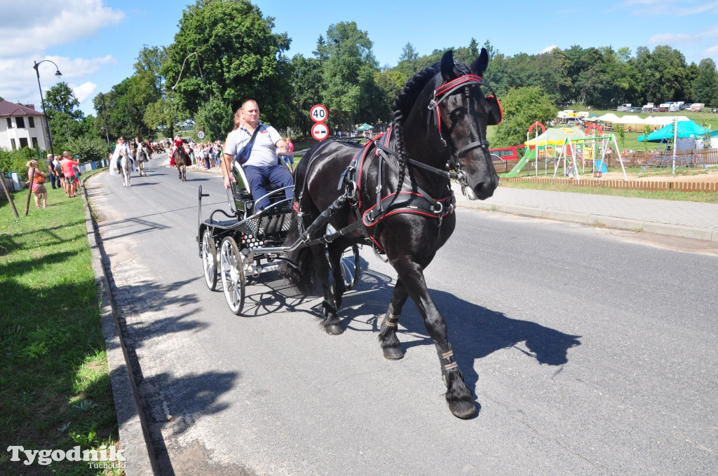 Śliwice: X Pikinik Koniarzy