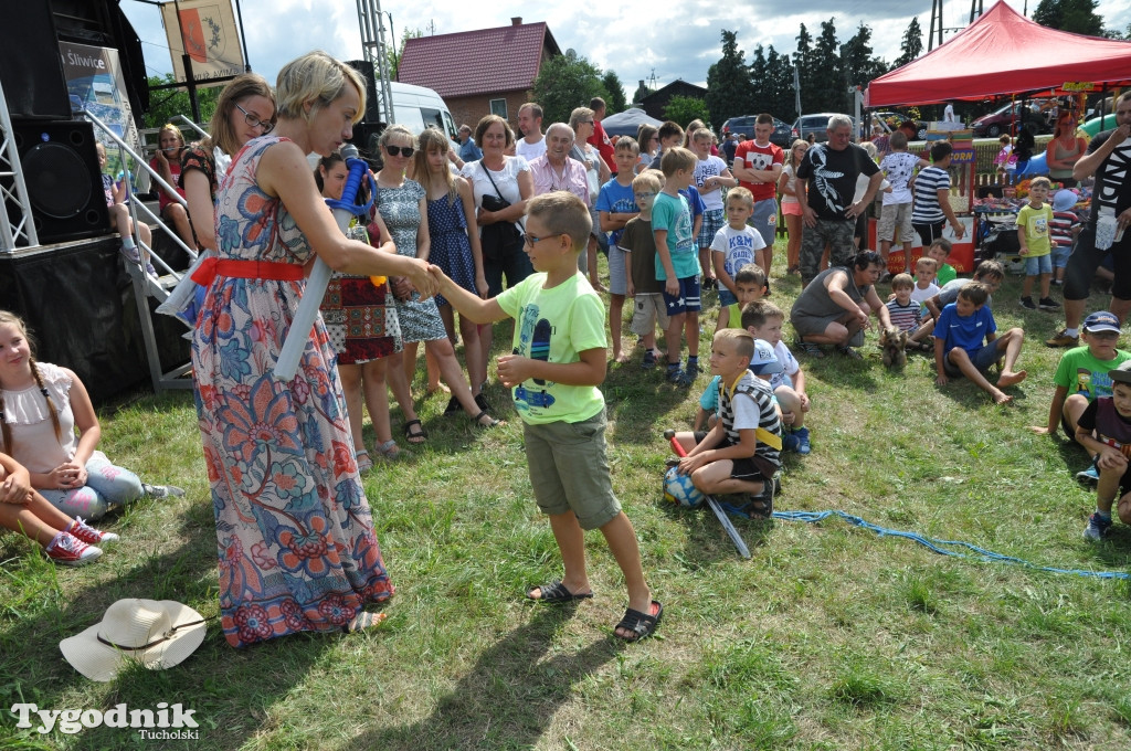 Śliwice: X Pikinik Koniarzy