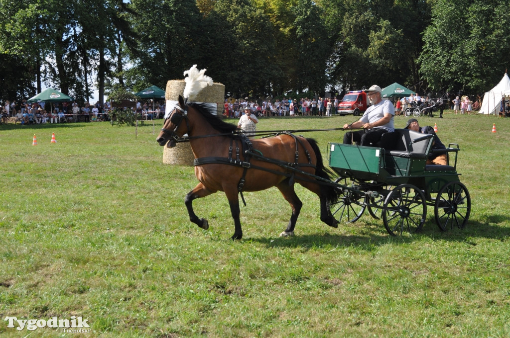 Śliwice: X Pikinik Koniarzy