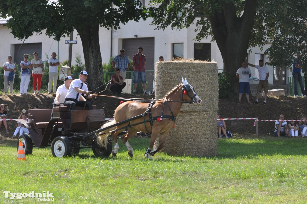 Śliwice: X Pikinik Koniarzy