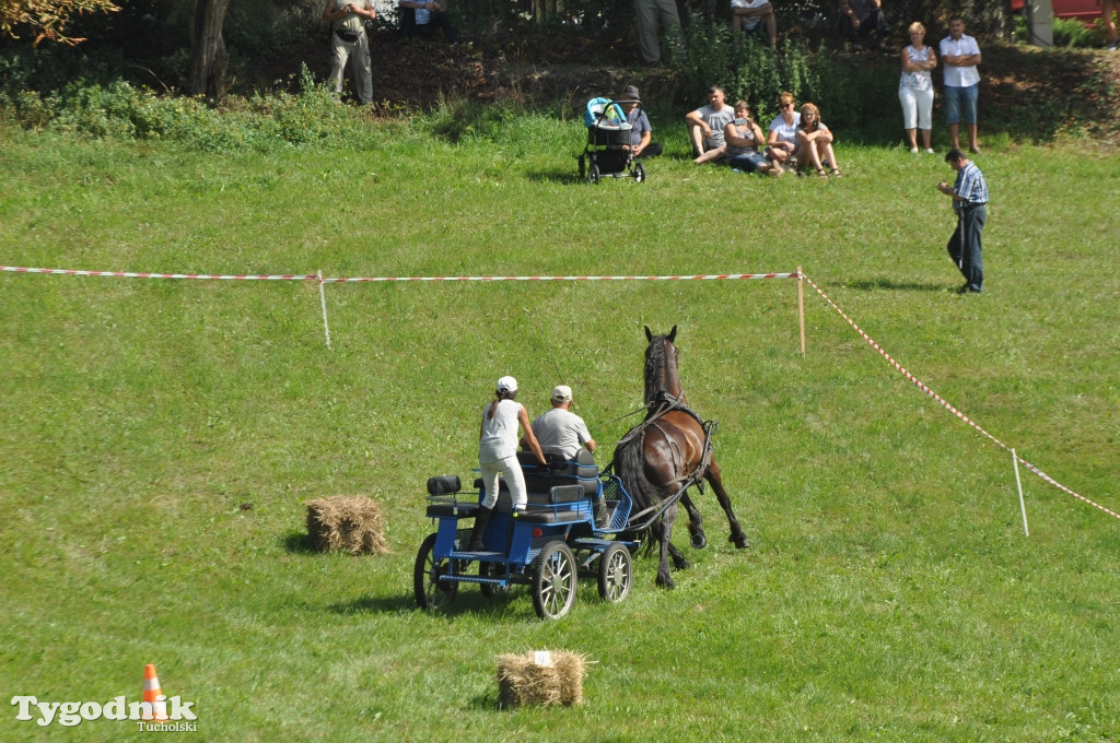 Śliwice: X Pikinik Koniarzy