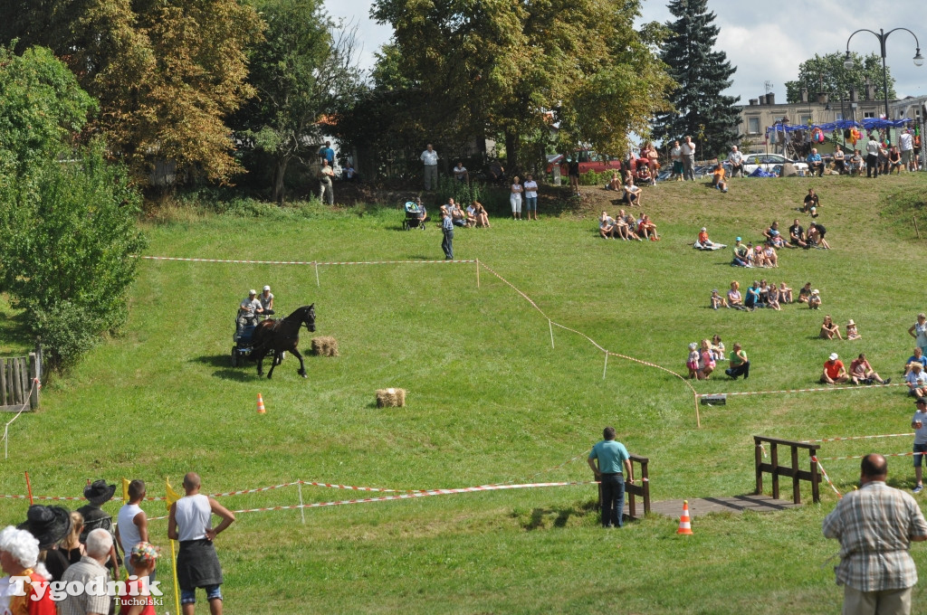 Śliwice: X Pikinik Koniarzy