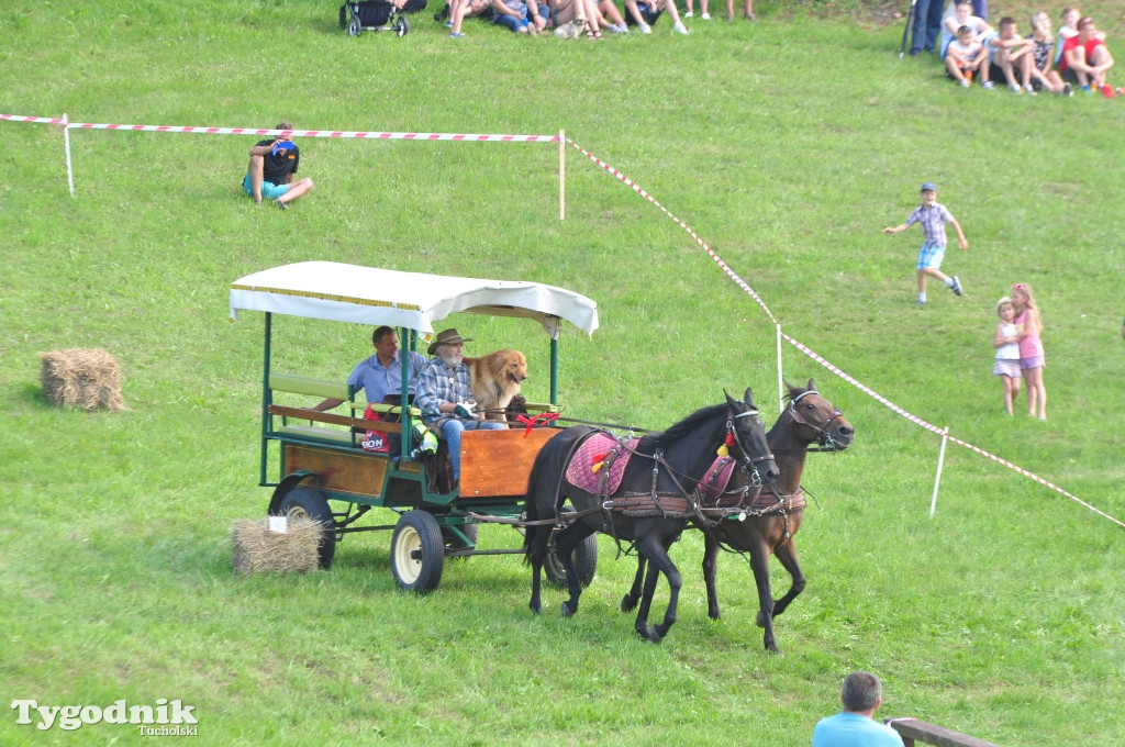 Śliwice: X Pikinik Koniarzy