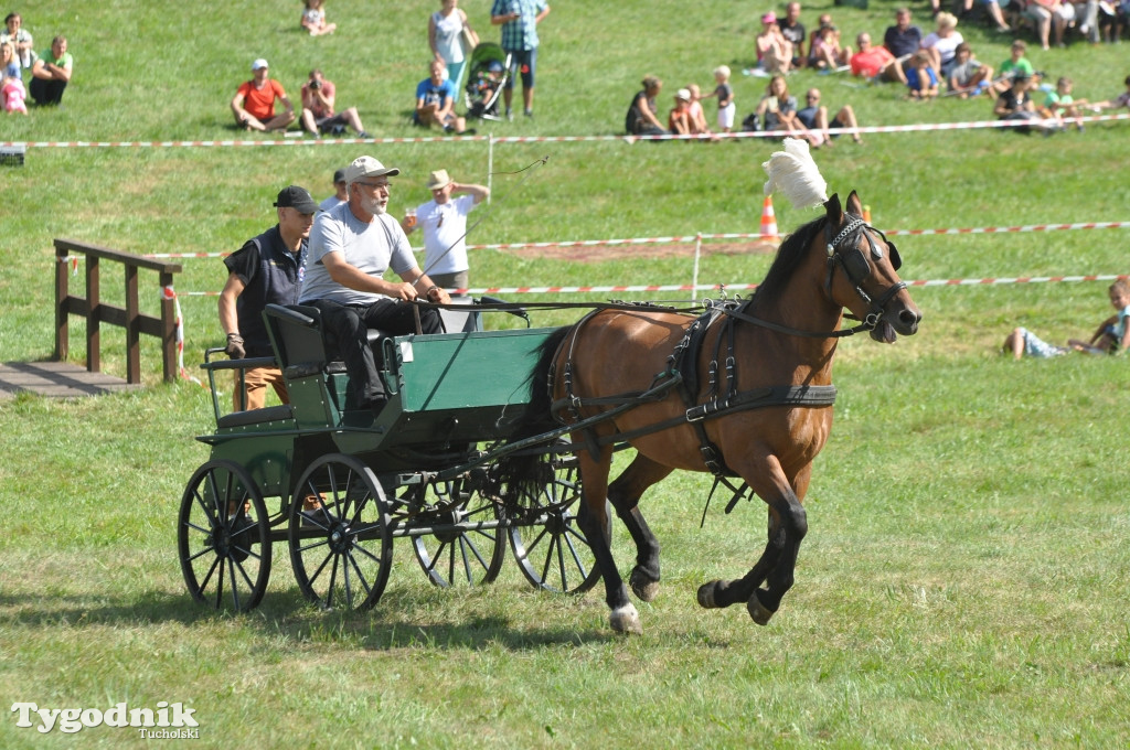 Śliwice: X Pikinik Koniarzy