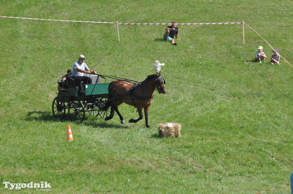 Śliwice: X Pikinik Koniarzy