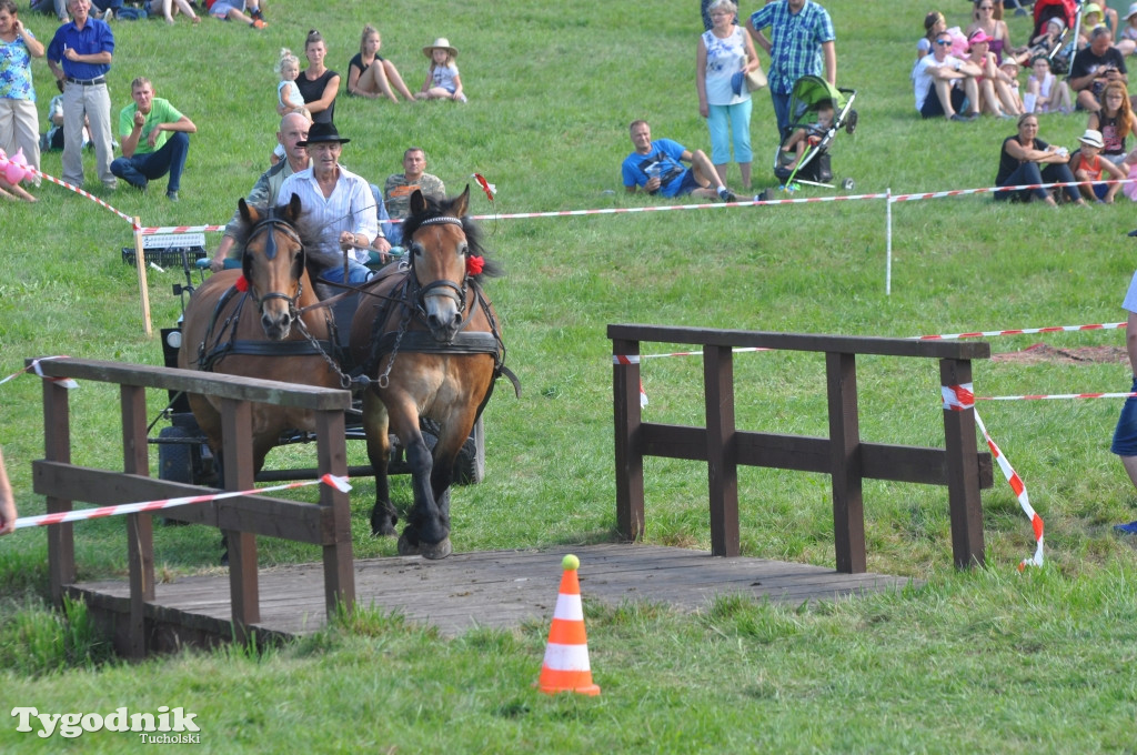 Śliwice: X Pikinik Koniarzy