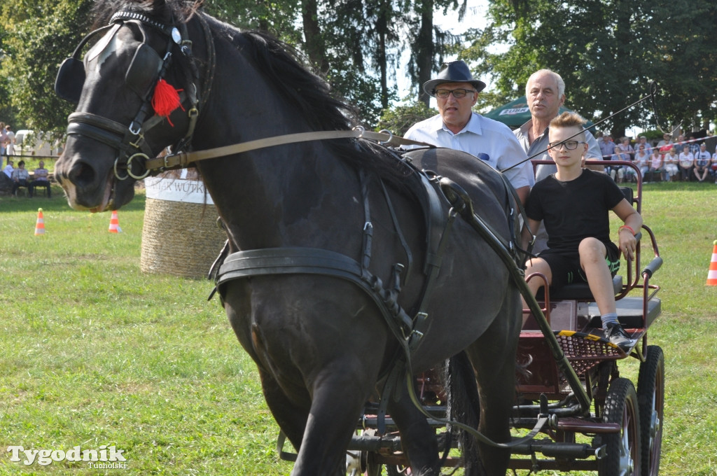 Śliwice: X Pikinik Koniarzy