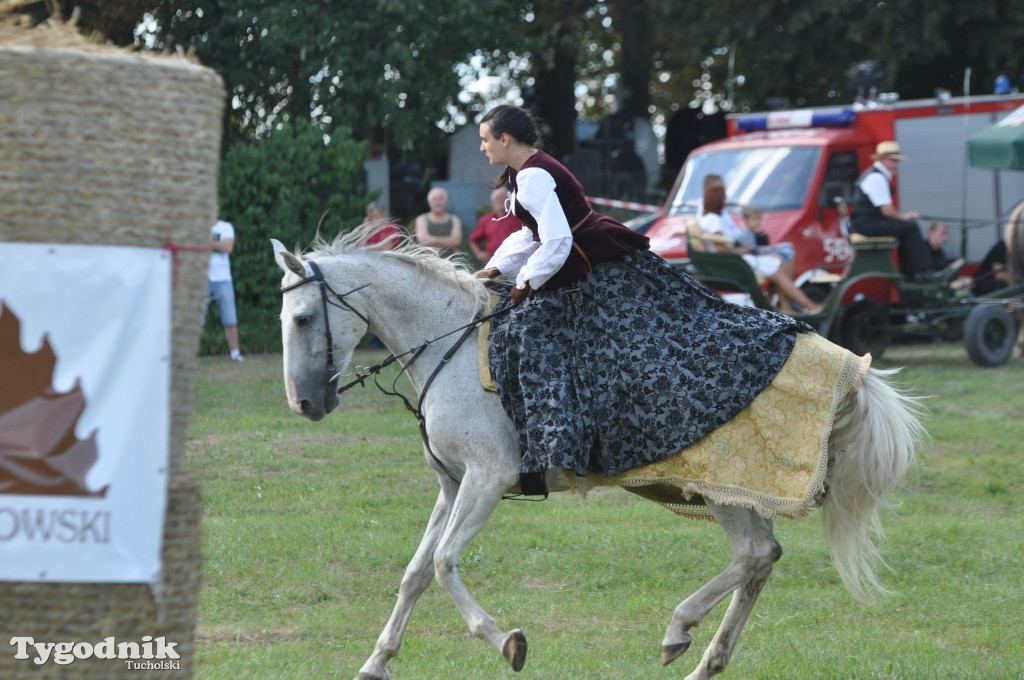 Śliwice: X Pikinik Koniarzy