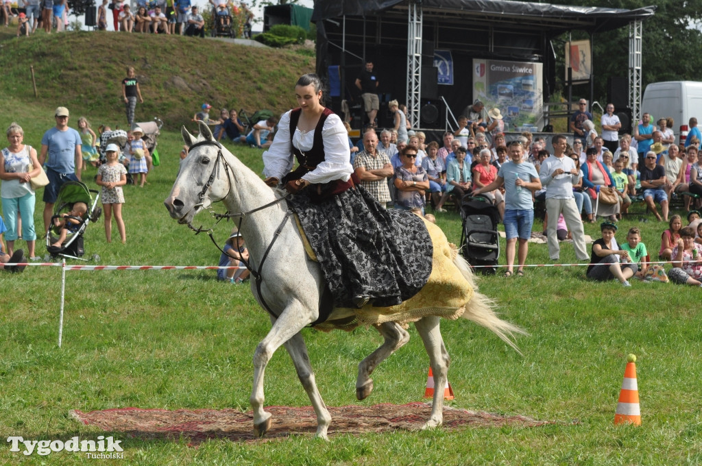 Śliwice: X Pikinik Koniarzy