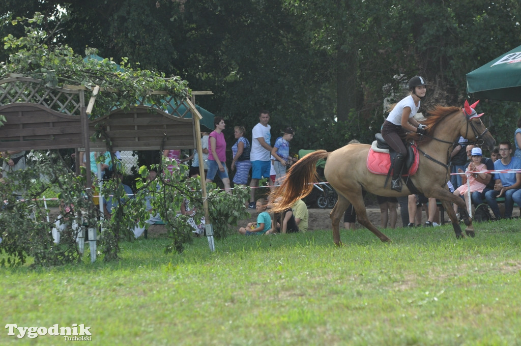 Śliwice: X Pikinik Koniarzy