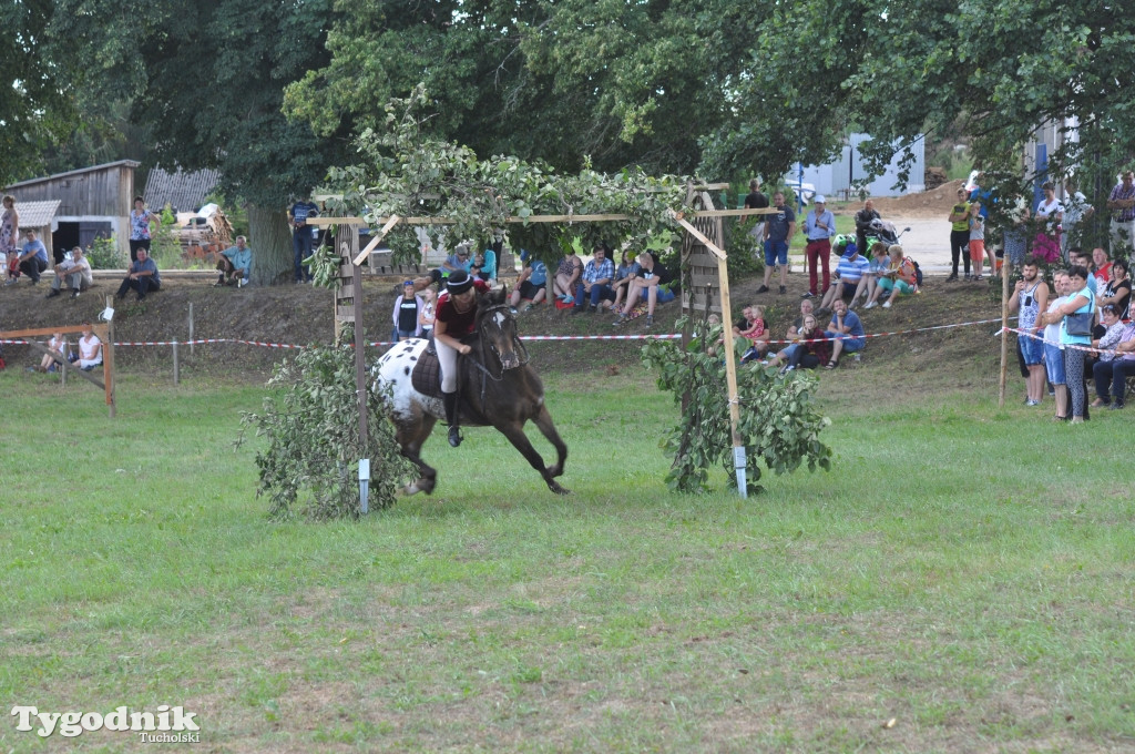 Śliwice: X Pikinik Koniarzy