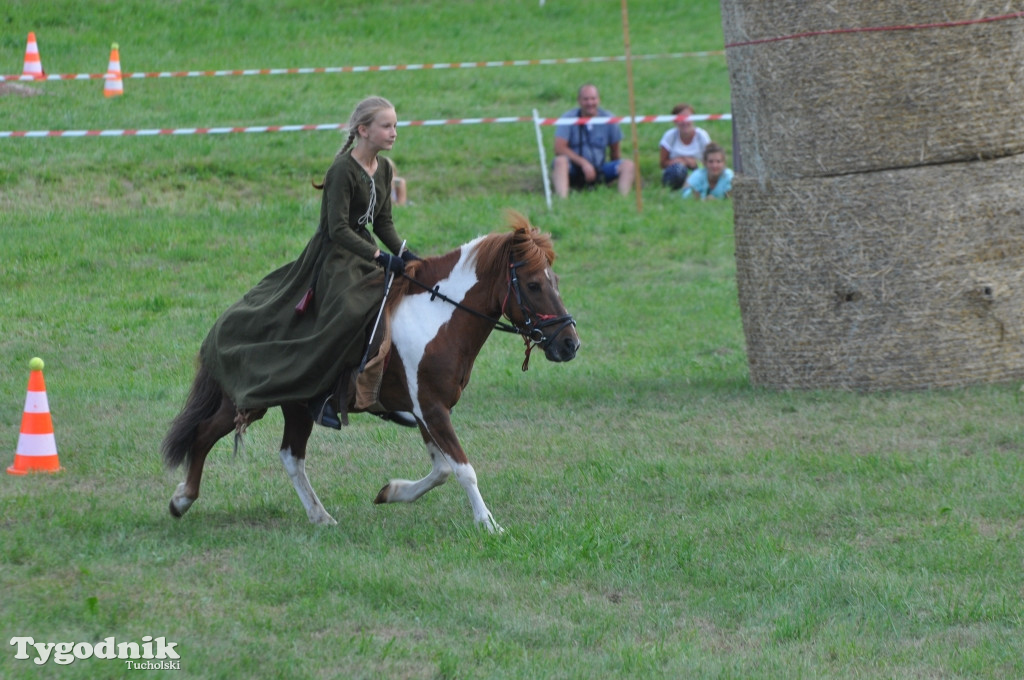 Śliwice: X Pikinik Koniarzy