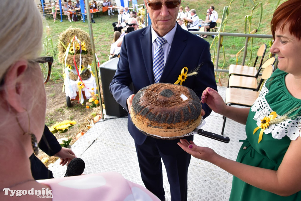 Dożynki gminne w Trutnowie